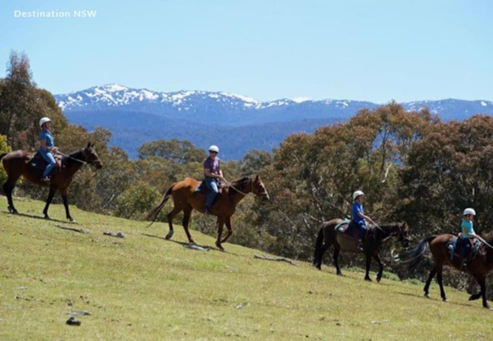 Hotel Big Yard Escapes Jindabyne Exterior foto