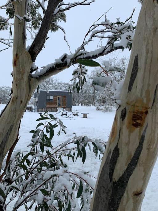 Hotel Big Yard Escapes Jindabyne Exterior foto
