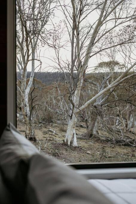 Hotel Big Yard Escapes Jindabyne Exterior foto